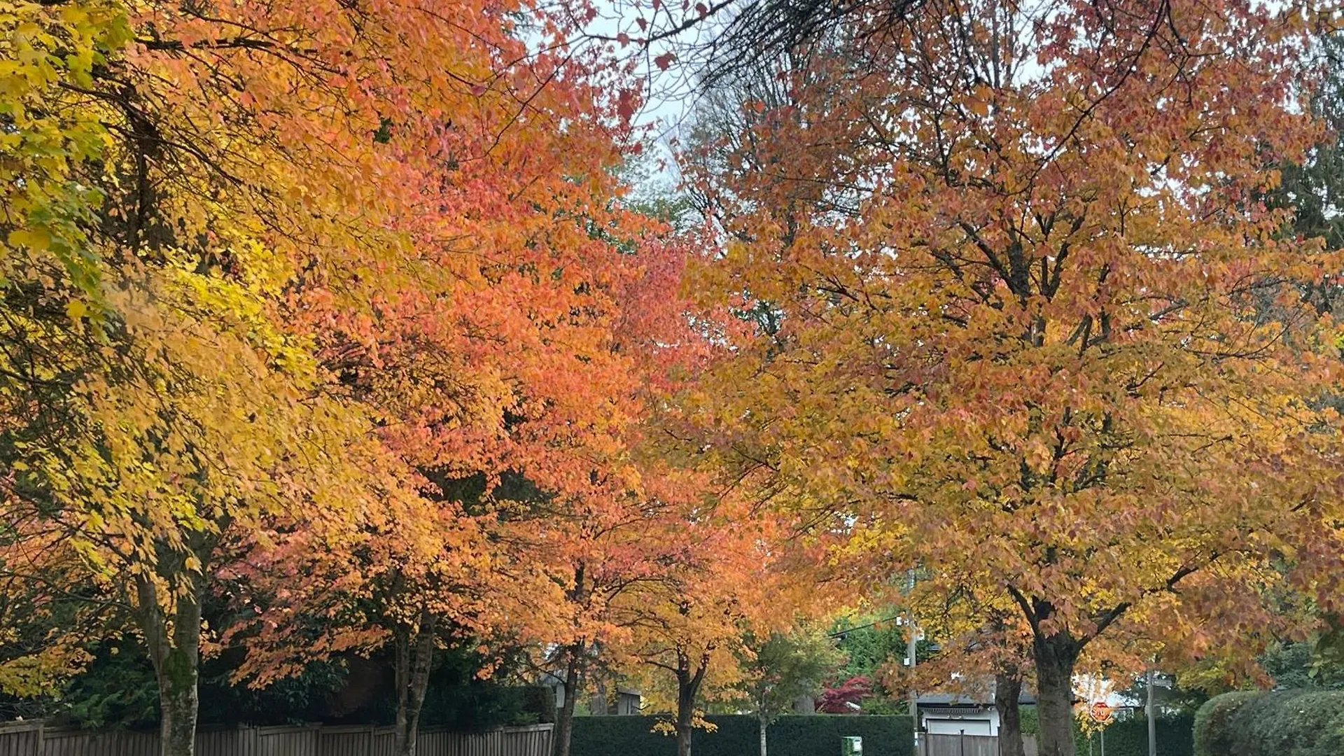 밴쿠버 Campus Haven 아파트
