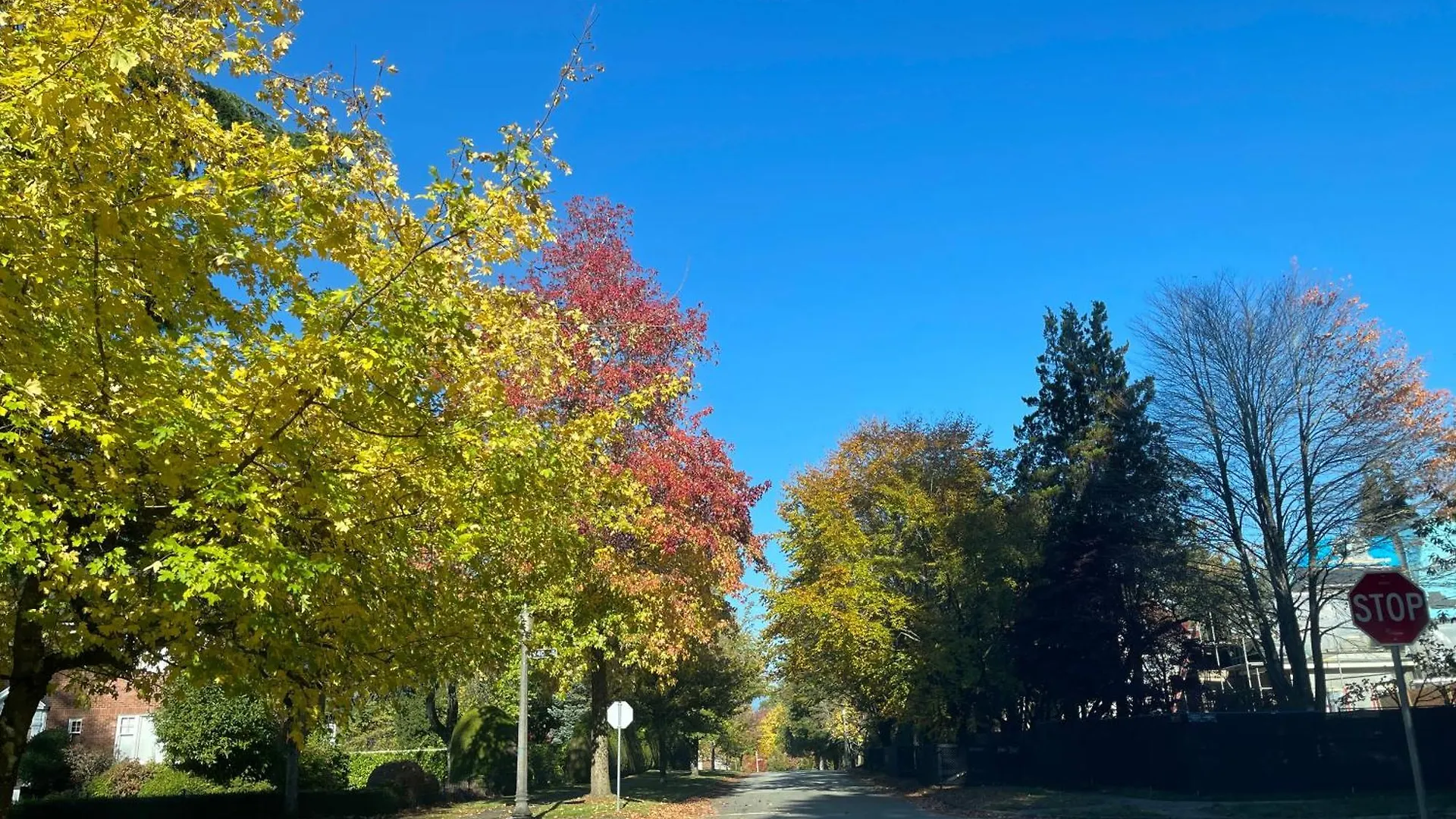 Campus Haven Apartment Vancouver